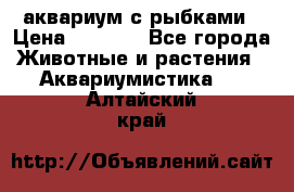 аквариум с рыбками › Цена ­ 1 000 - Все города Животные и растения » Аквариумистика   . Алтайский край